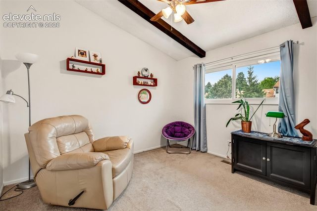 5024 Quarto Lane, Colorado Springs, CO 80917