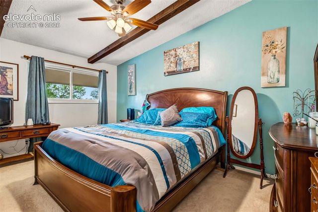 5024 Quarto Lane, Colorado Springs, CO 80917