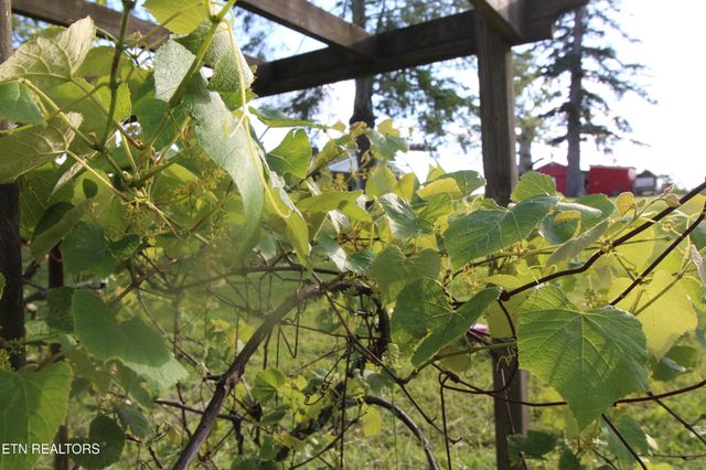 1038 Newton Lane, Crossville, TN 38572