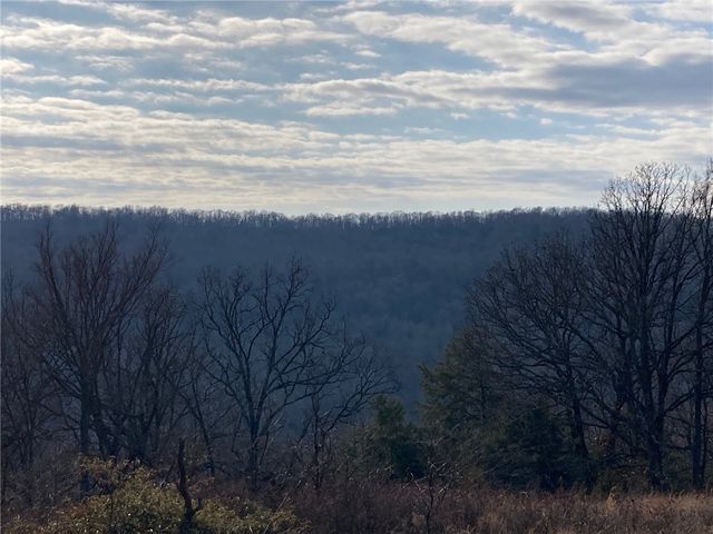 13.32 acres Delgado Road, West Fork, AR 72774