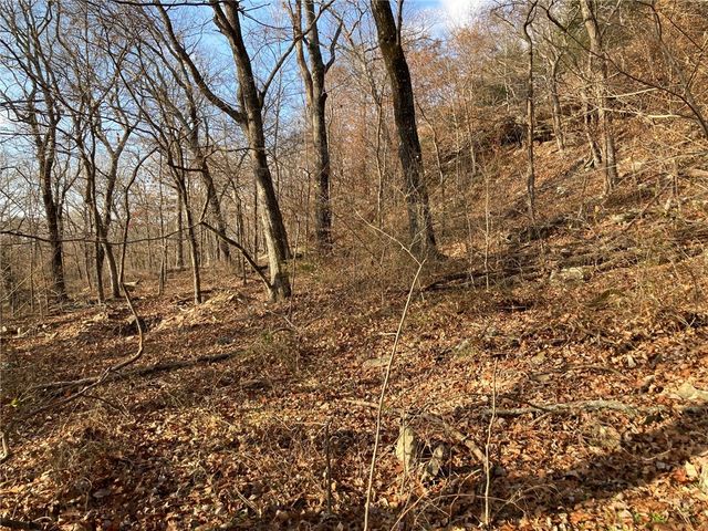 13.32 acres Delgado Road, West Fork, AR 72774