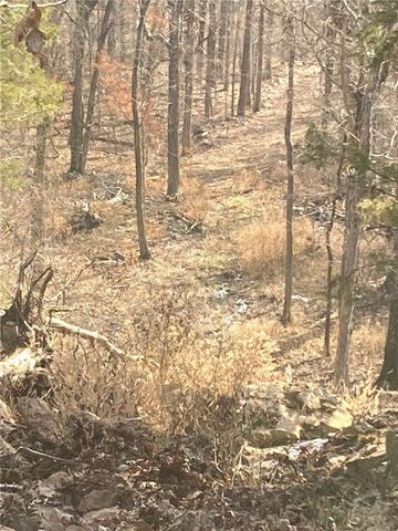 13.32 acres Delgado Road, West Fork, AR 72774