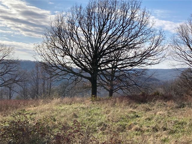 13.32 acres Delgado Road, West Fork, AR 72774