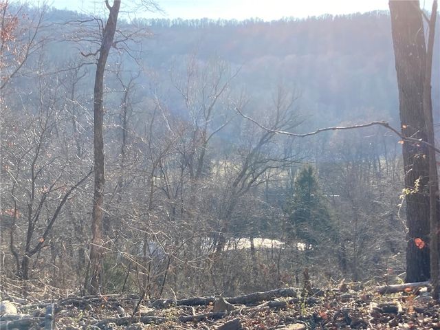 13.32 acres Delgado Road, West Fork, AR 72774