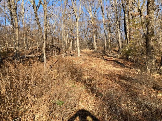 13.32 acres Delgado Road, West Fork, AR 72774