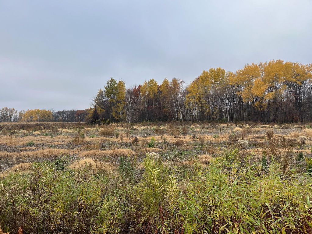 TBD (Lot 2) Brunswick Road, Stanchfield, MN 55080 — exterior