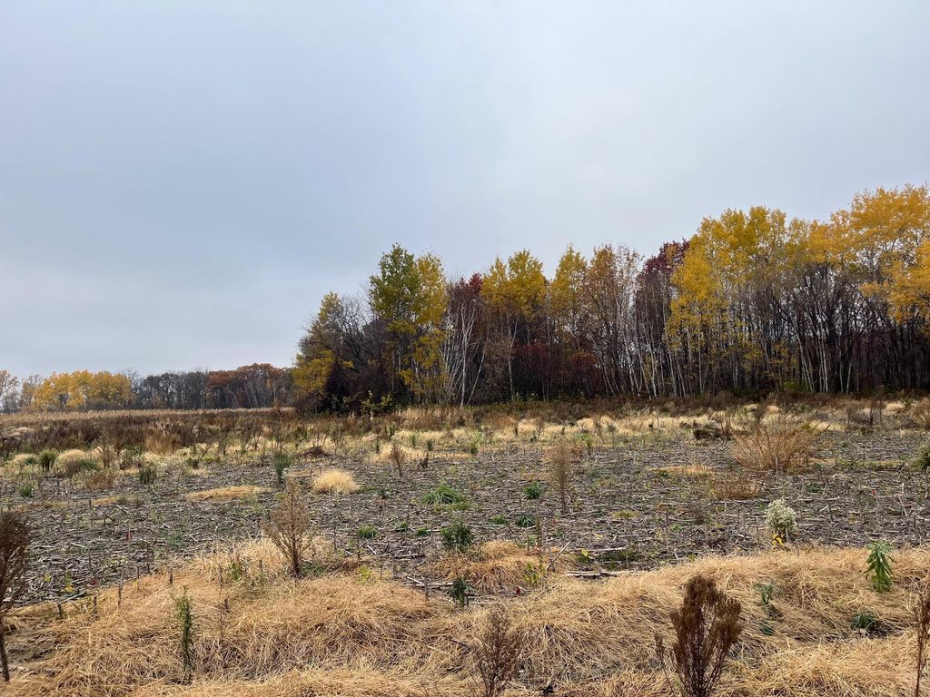 TBD (Lot 2) Brunswick Road, Stanchfield, MN 55080 — photo 2