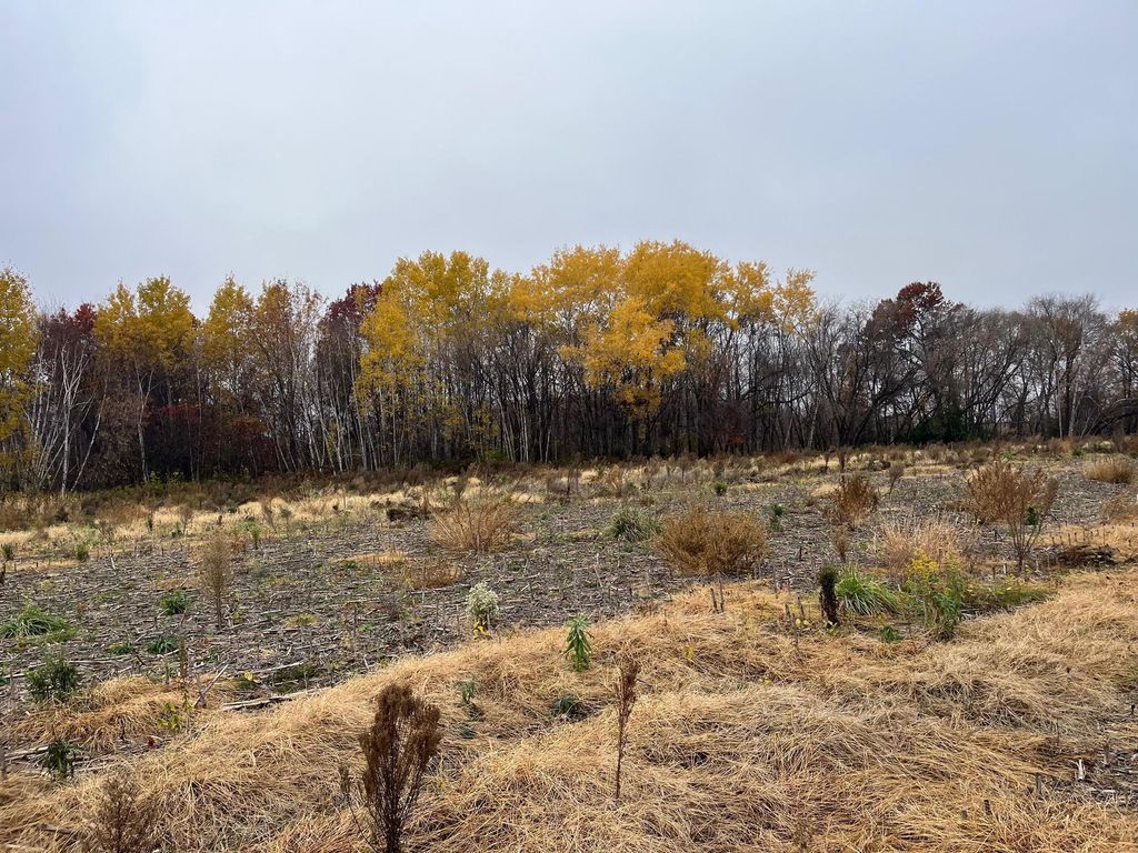 TBD (Lot 2) Brunswick Road, Stanchfield, MN 55080 — photo 3