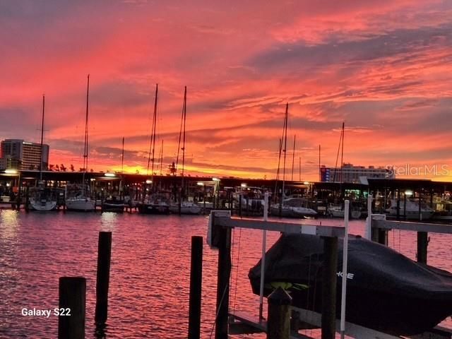 205 DOLPHIN POINT 1, Clearwater Beach, FL 33767