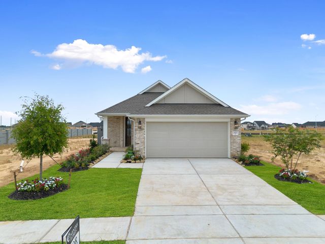 26507 Jolly Prairie Drive, Hockley, TX 77447
