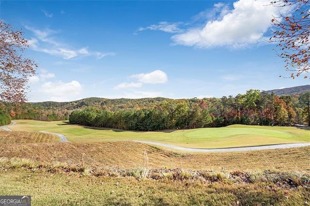 110 Siddiqui Court, Waleska, GA 30183