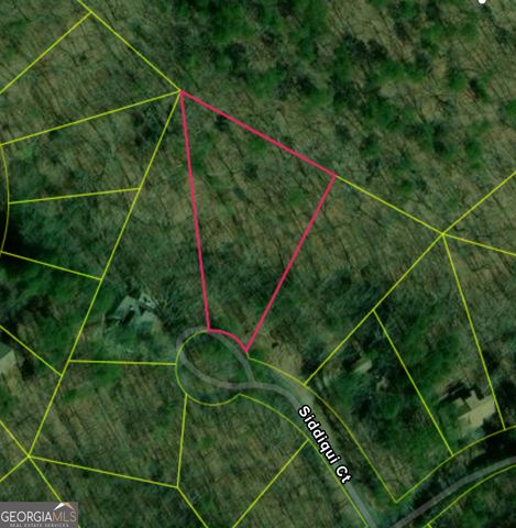 110 Siddiqui Court, Waleska, GA 30183