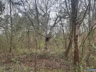 123 Hitt Road, Decatur, AL 35603