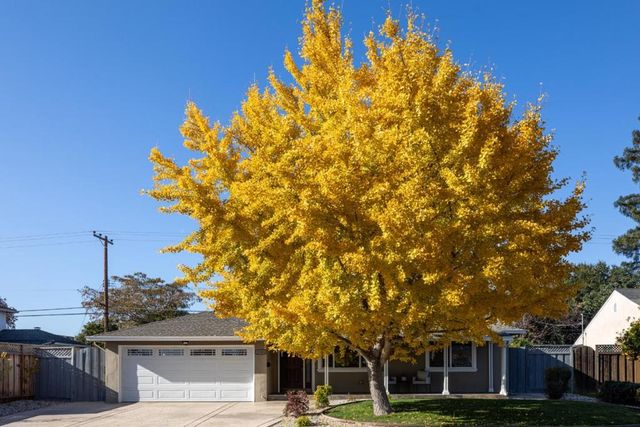 2381 Rosita Avenue, Santa Clara, CA 95050