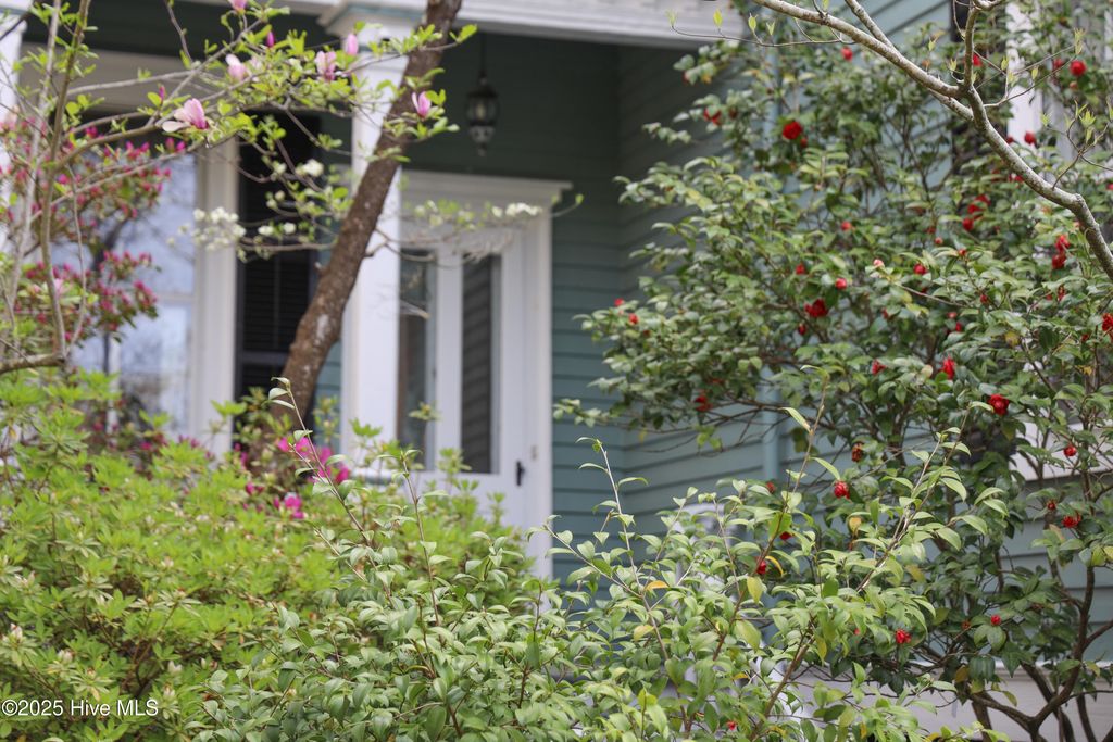 Image 94 of property listing at 111 S 4th Street, Wilmington, NC 28401