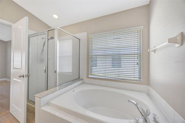 30435 ANNADALE DRIVE, Wesley Chapel, FL 33545