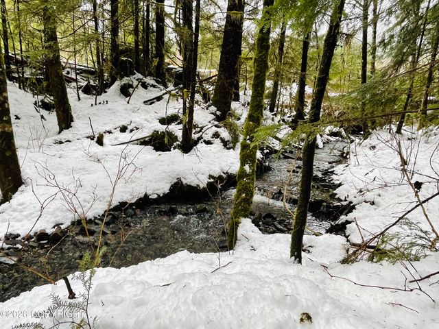 L19 Harris River Road, Hollis, AK 99925