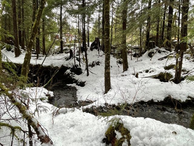 L19 Harris River Road, Hollis, AK 99925