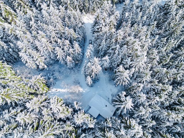 L19 Harris River Road, Hollis, AK 99925