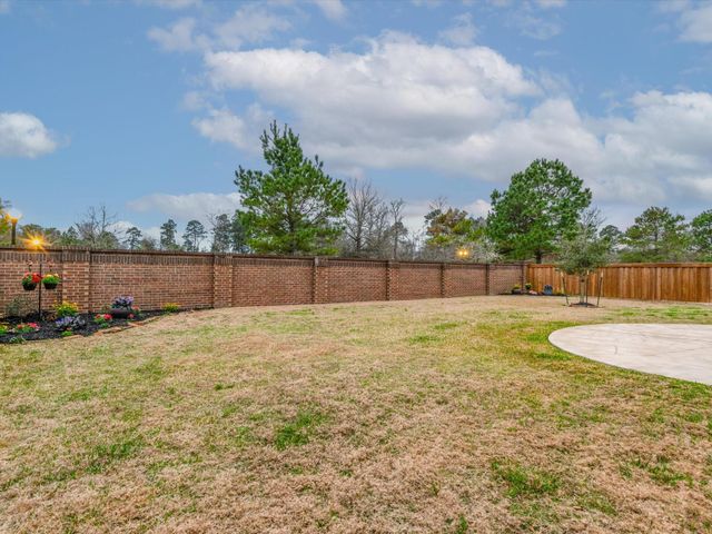 8518 Alford Point Drive, Magnolia, TX 77354