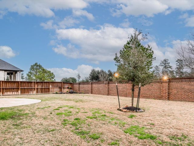 8518 Alford Point Drive, Magnolia, TX 77354