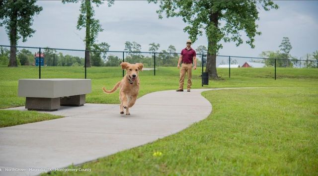 8518 Alford Point Drive, Magnolia, TX 77354