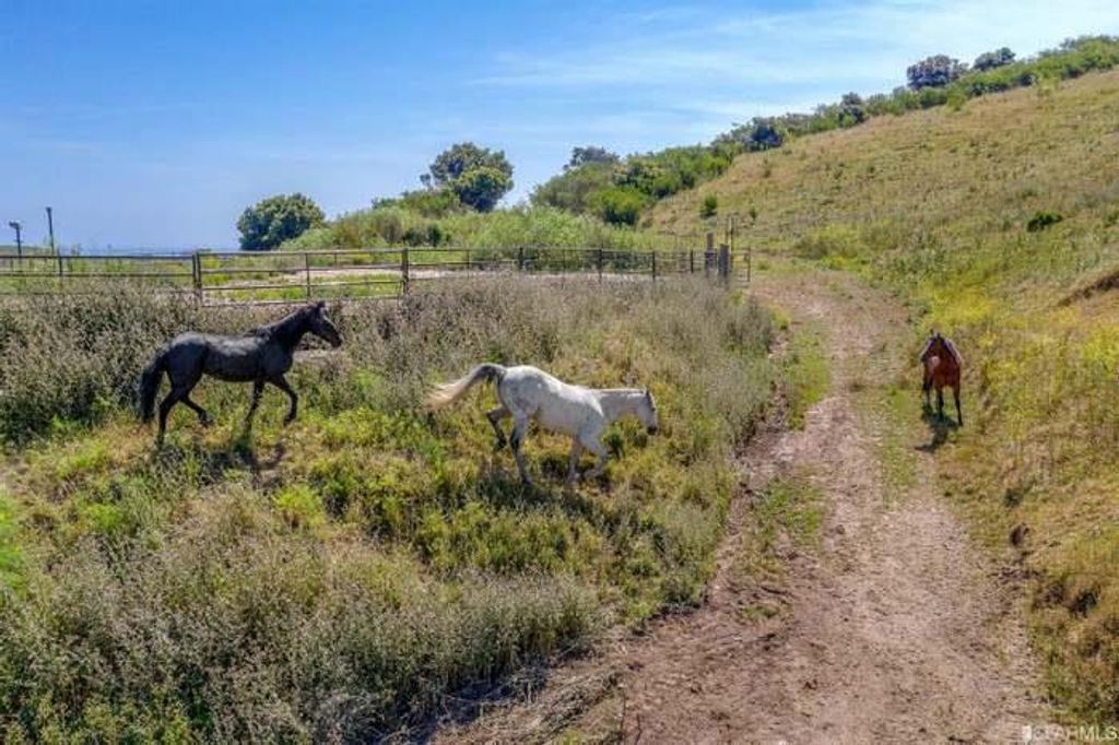 Image 50 of property listing at 285 Humboldt Road, Brisbane, CA 94005