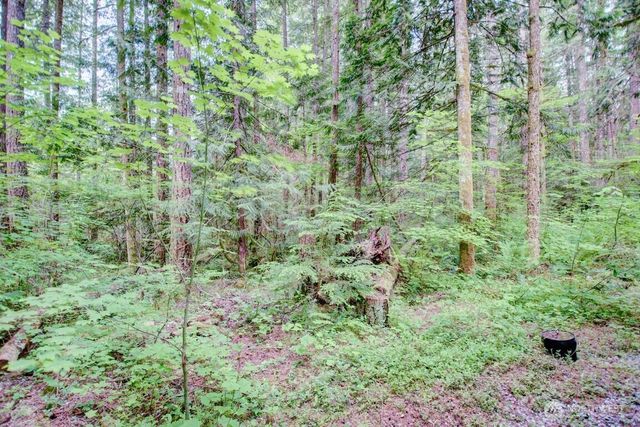 20 Goldrush Road, Deming, WA 98244