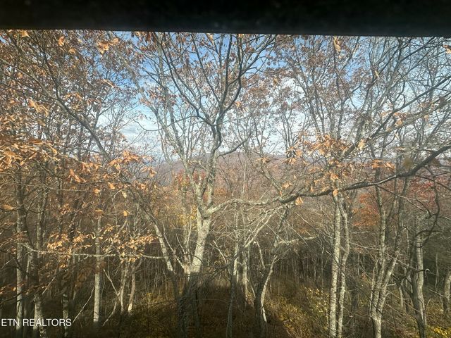 391 Moytoy Rd 208, Crab Orchard, TN 37723