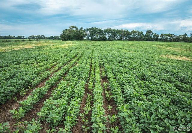 14305 hwy F, Canton, MO 63435