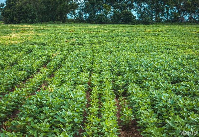 14305 hwy F, Canton, MO 63435