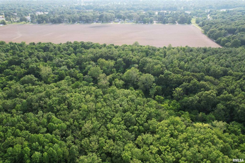 Image 1 of property listing at 0 US Hwy 50, Salem, IL 62881