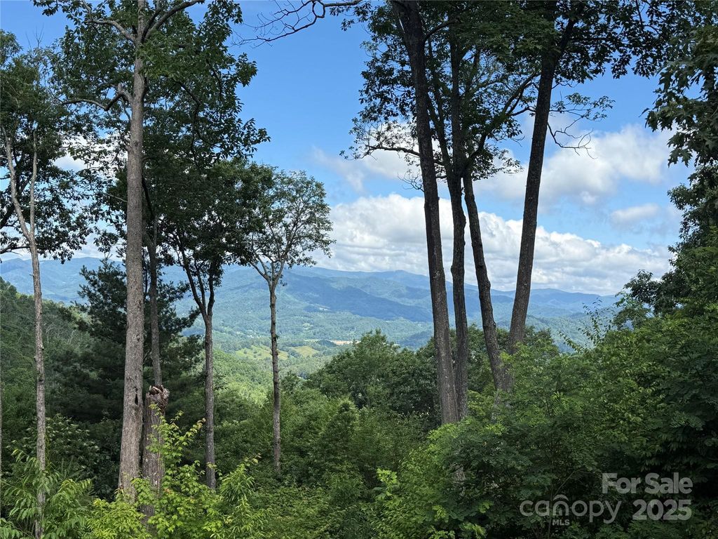 Lot 3 Heritage Ridge Road 3/4, Burnsville, NC 28714