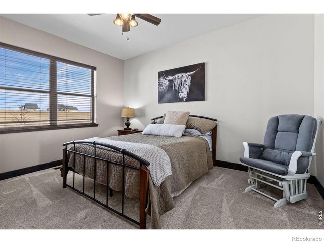 5821 Dakota Court, Wellington, CO 80549