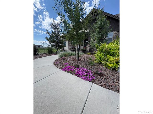 5821 Dakota Court, Wellington, CO 80549