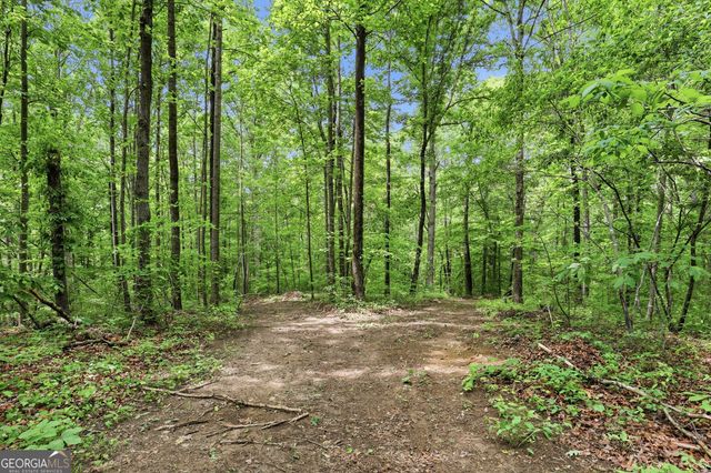410 Tower Road, Martin, GA 30557