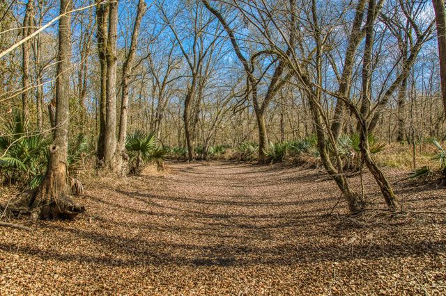 5280 Whitaker Way, Anderson, TX 77830