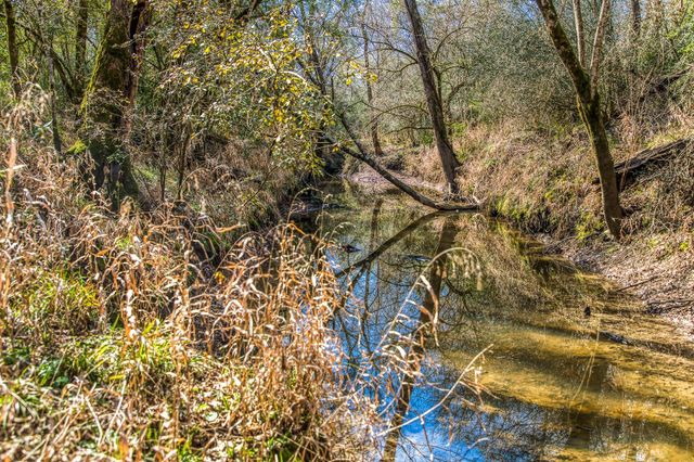 5280 Whitaker Way, Anderson, TX 77830