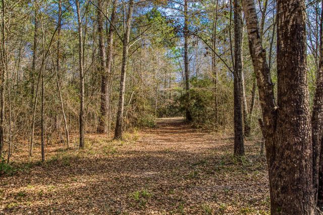 5280 Whitaker Way, Anderson, TX 77830