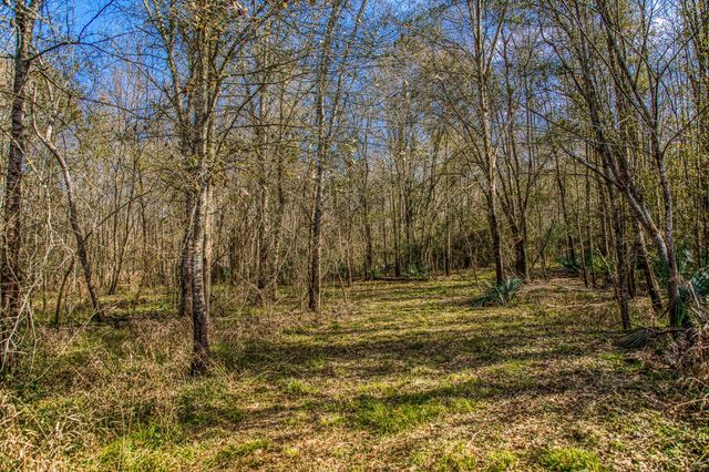 5280 Whitaker Way, Anderson, TX 77830