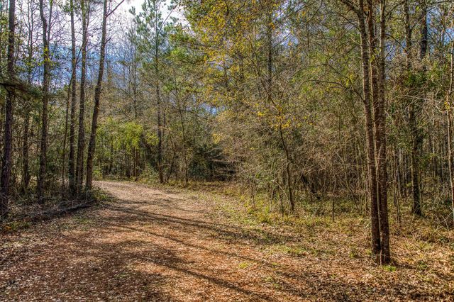 5280 Whitaker Way, Anderson, TX 77830