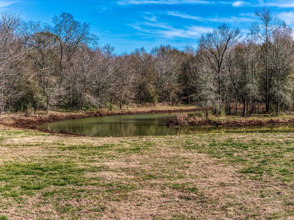 5280 Whitaker Way, Anderson, TX 77830