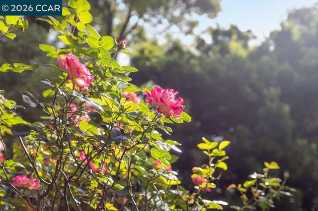 121 Bradford St, San Francisco, CA 94110