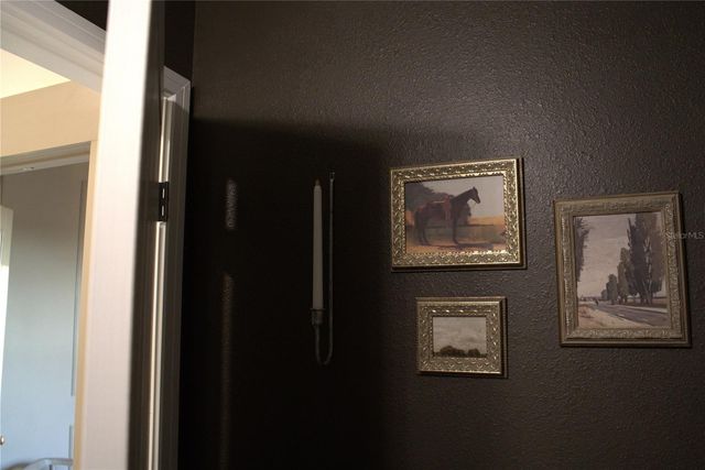 4330 MEANDERING BAY, Apopka, FL 32712