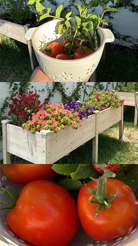 4330 MEANDERING BAY, Apopka, FL 32712