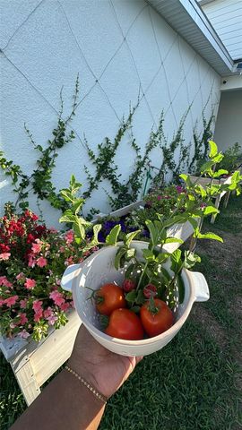 4330 MEANDERING BAY, Apopka, FL 32712