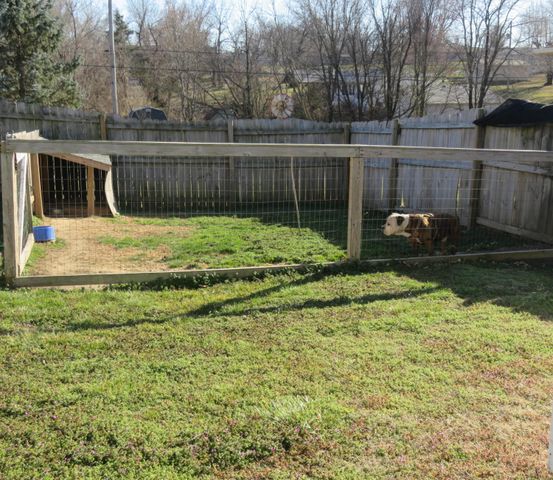 359 E Bedford Street, Marshfield, MO 65706