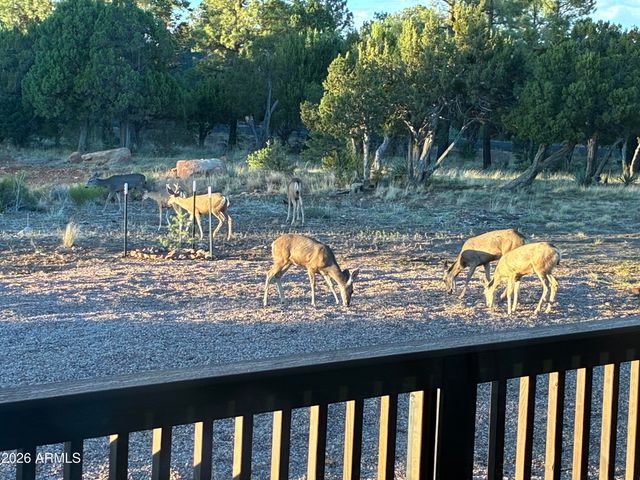 1514 SHADE TREE Drive, Heber, AZ 85928