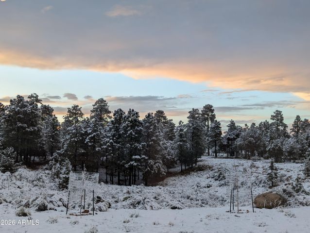 1514 SHADE TREE Drive, Heber, AZ 85928