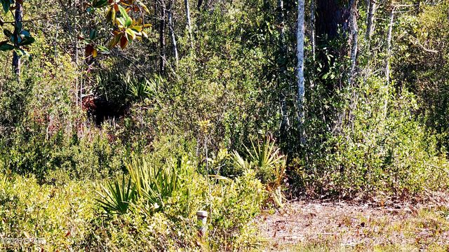 917 Watermark Way, Panama City, FL 32404